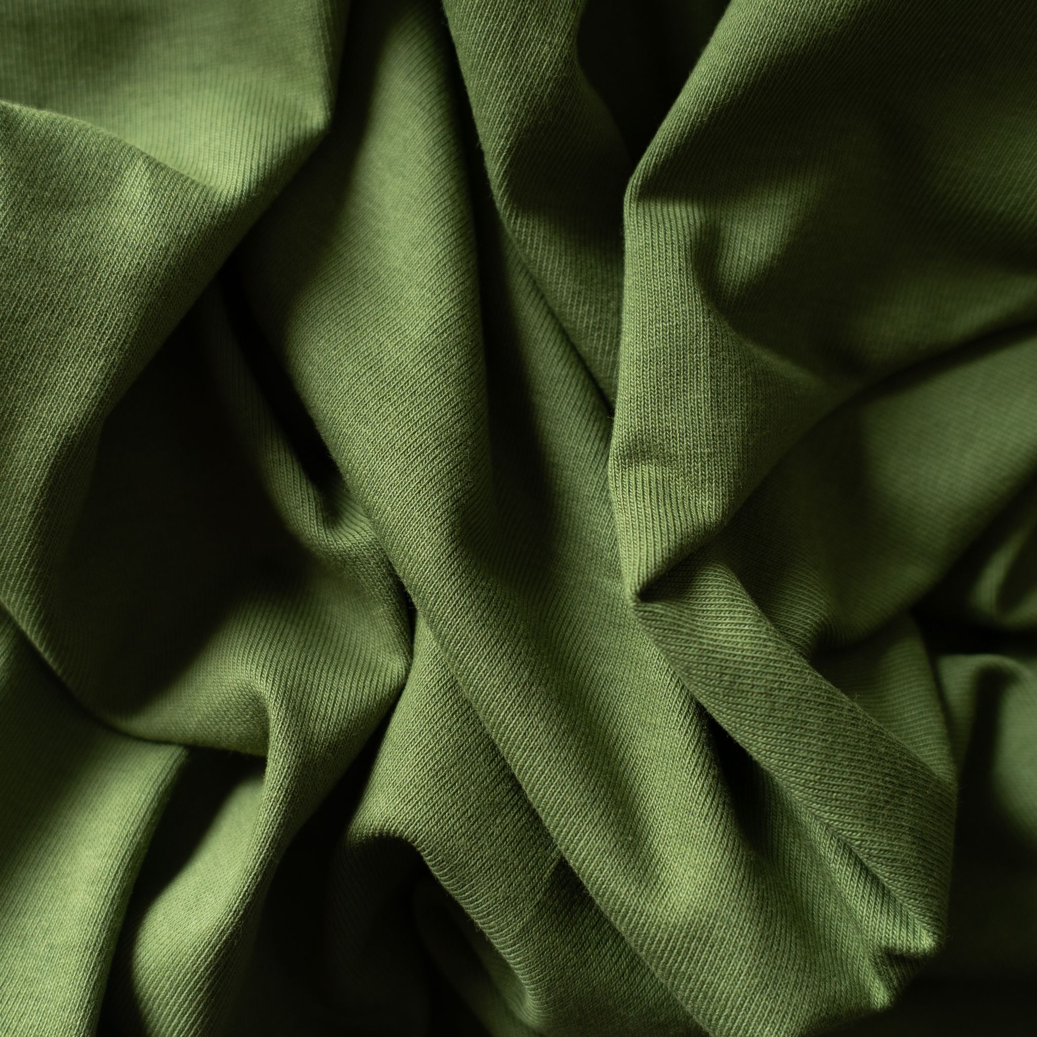 Staten T-Shirt - green / purple