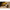 Incense | Citrus Grove
