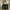 Medium Black/Green Tote Bag
