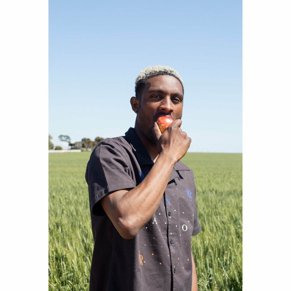 The Sunset Camp Collar